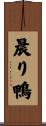 晨り鴨 Scroll
