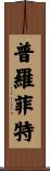 Proffitt Scroll