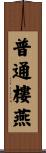 普通樓燕 Scroll