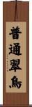 普通翠鳥 Scroll