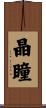 晶瞳 Scroll