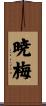 暁梅 Scroll