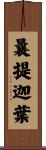曩提迦葉 Scroll
