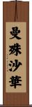 曼殊沙華 Scroll