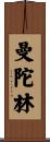 曼陀林 Scroll