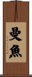 曼魚 Scroll