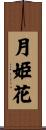 月姫花 Scroll