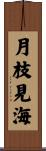 月枝見海 Scroll
