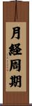 月経周期 Scroll