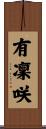 有凜咲 Scroll