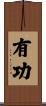 有功 Scroll