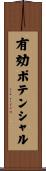 有効ポテンシャル Scroll