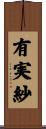 有実紗 Scroll
