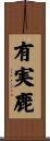 有実鹿 Scroll