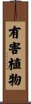 有害植物 Scroll