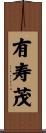 有寿茂 Scroll
