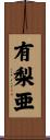 有梨亜 Scroll