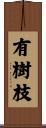 有樹枝 Scroll