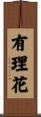 有理花 Scroll