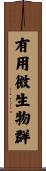 有用微生物群 Scroll