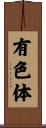 有色体 Scroll