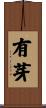有芽 Scroll