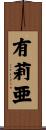 有莉亜 Scroll