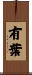 有葉 Scroll