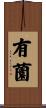 有薗 Scroll