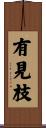 有見枝 Scroll