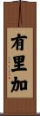 有里加 Scroll