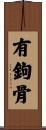 有鉤骨 Scroll