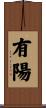 有陽 Scroll