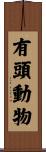 有頭動物 Scroll