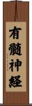 有髄神経 Scroll