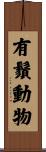 有鬚動物 Scroll