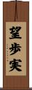 望歩実 Scroll