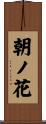 朝ノ花 Scroll
