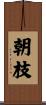 朝枝 Scroll