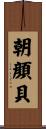 朝顔貝 Scroll