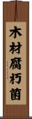 木材腐朽菌 Scroll