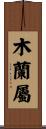 木蘭屬 Scroll