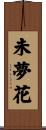 未夢花 Scroll