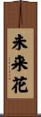 未来花 Scroll