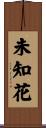 未知花 Scroll