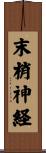 末梢神経 Scroll