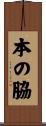 本の脇 Scroll