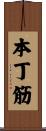 本丁筋 Scroll