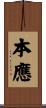 本應 Scroll
