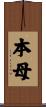 本母 Scroll